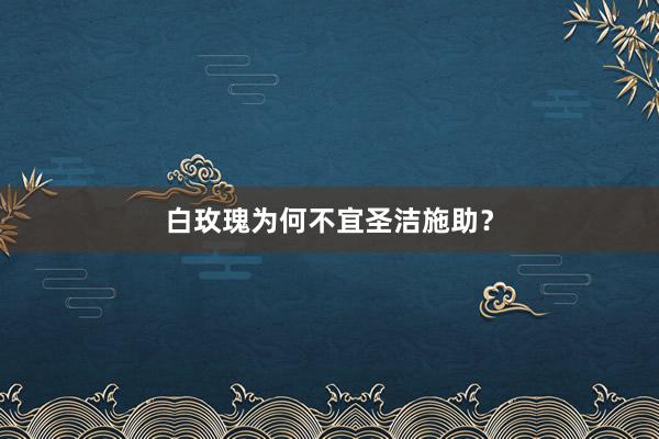 白玫瑰为何不宜圣洁施助？