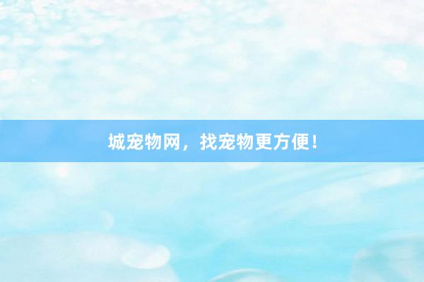 城宠物网，找宠物更方便！